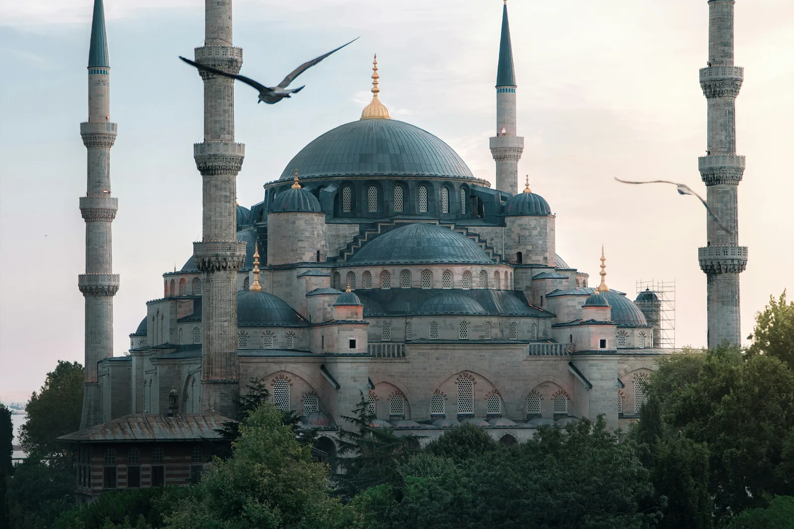 Blue Mosque